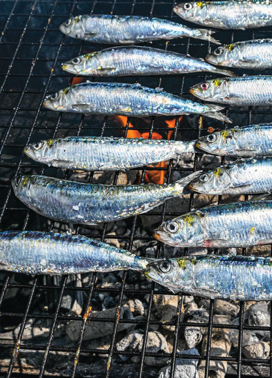 New fish TO FRY