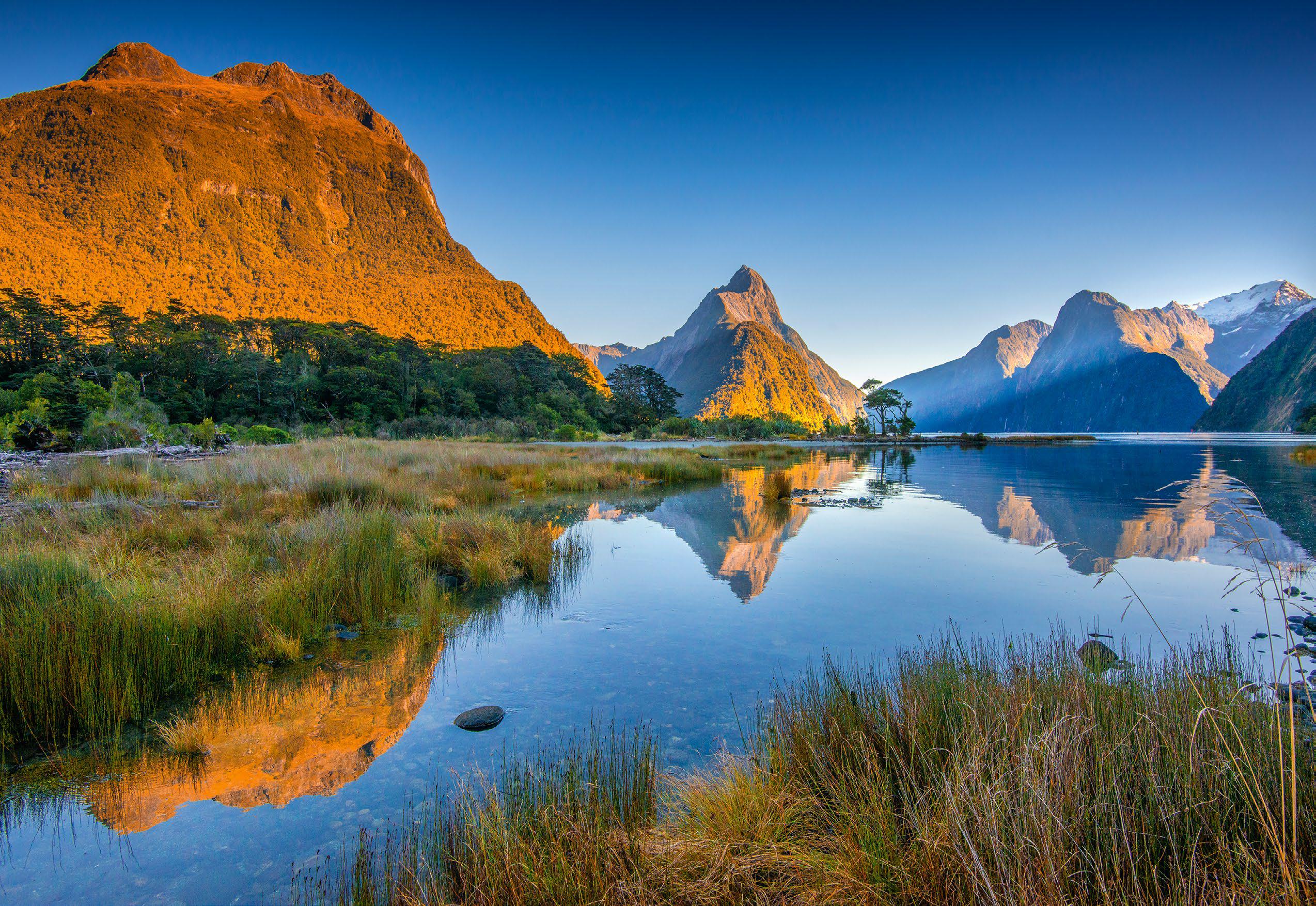 Time for a NEW ZEALAND ADVENTURE?