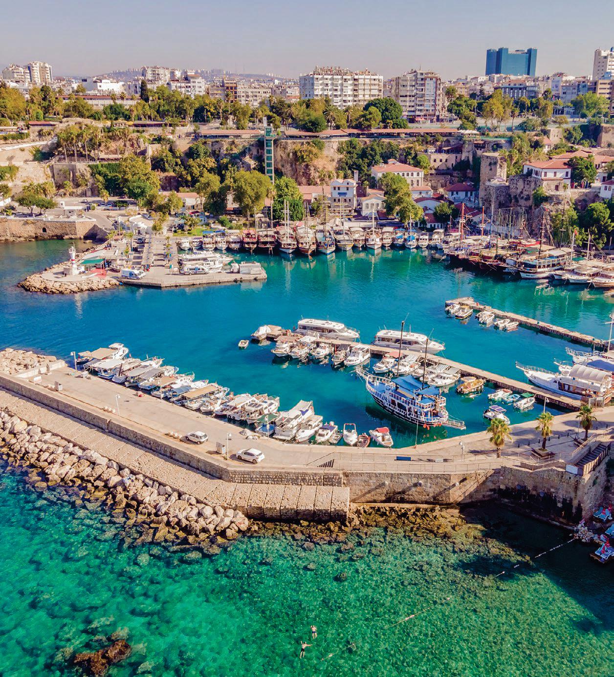 Turkish DELIGHT