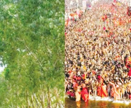 తాజా వార్తలు