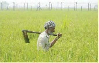 ఈ వారం కవిత్వం