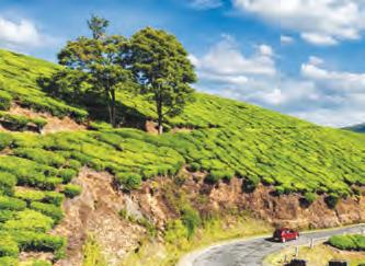 లల్లబీ పాడాలి