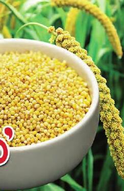 ఆరోగ్య సిరిక 'నవ రత్నాలు'