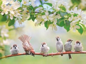 చూడాలని ఉంది..