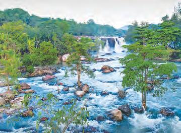 ఈ వారం కవిత్వం