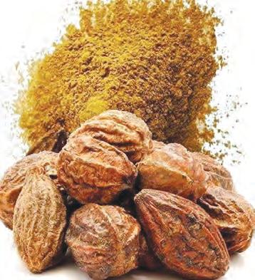 కరక్కాయతో బహుళ ప్రయోజనాలు