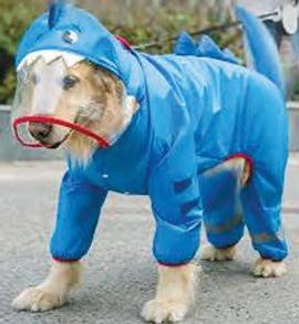 పప్పీలకు రెయిన్ కోట్