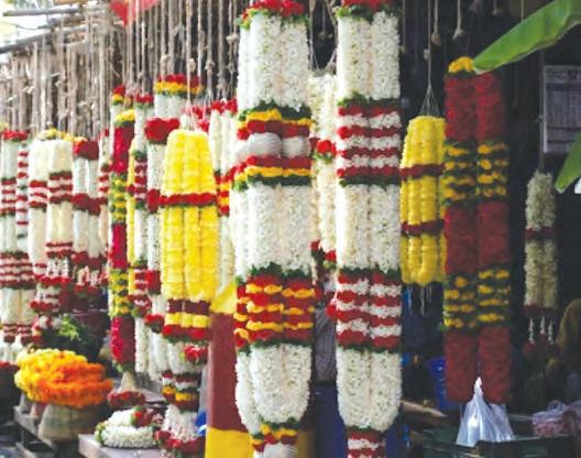 భార్యామణులు