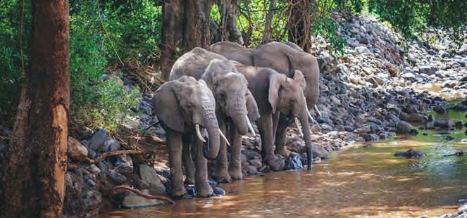 ఒక్క అడుగు