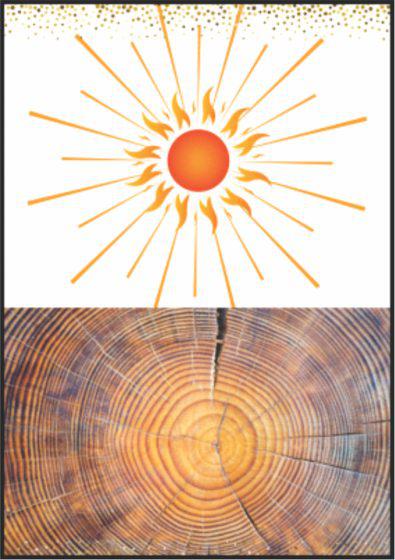 The Rings on the Trees Go Round and Round....