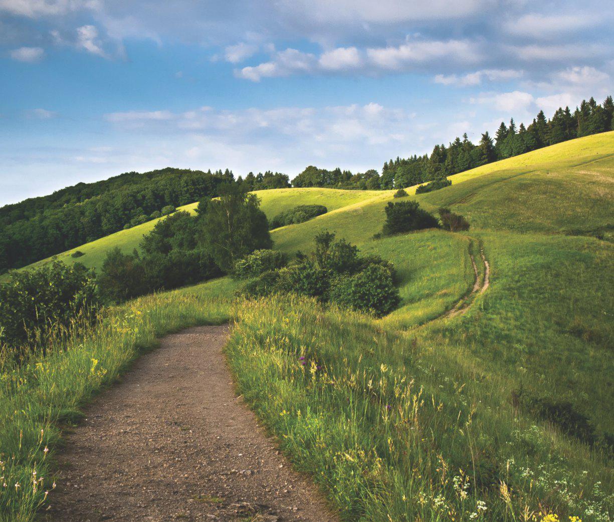 The Path of Duty