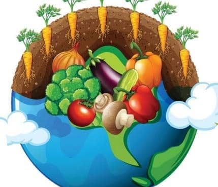 How Eating Organic Benefits People & Planet