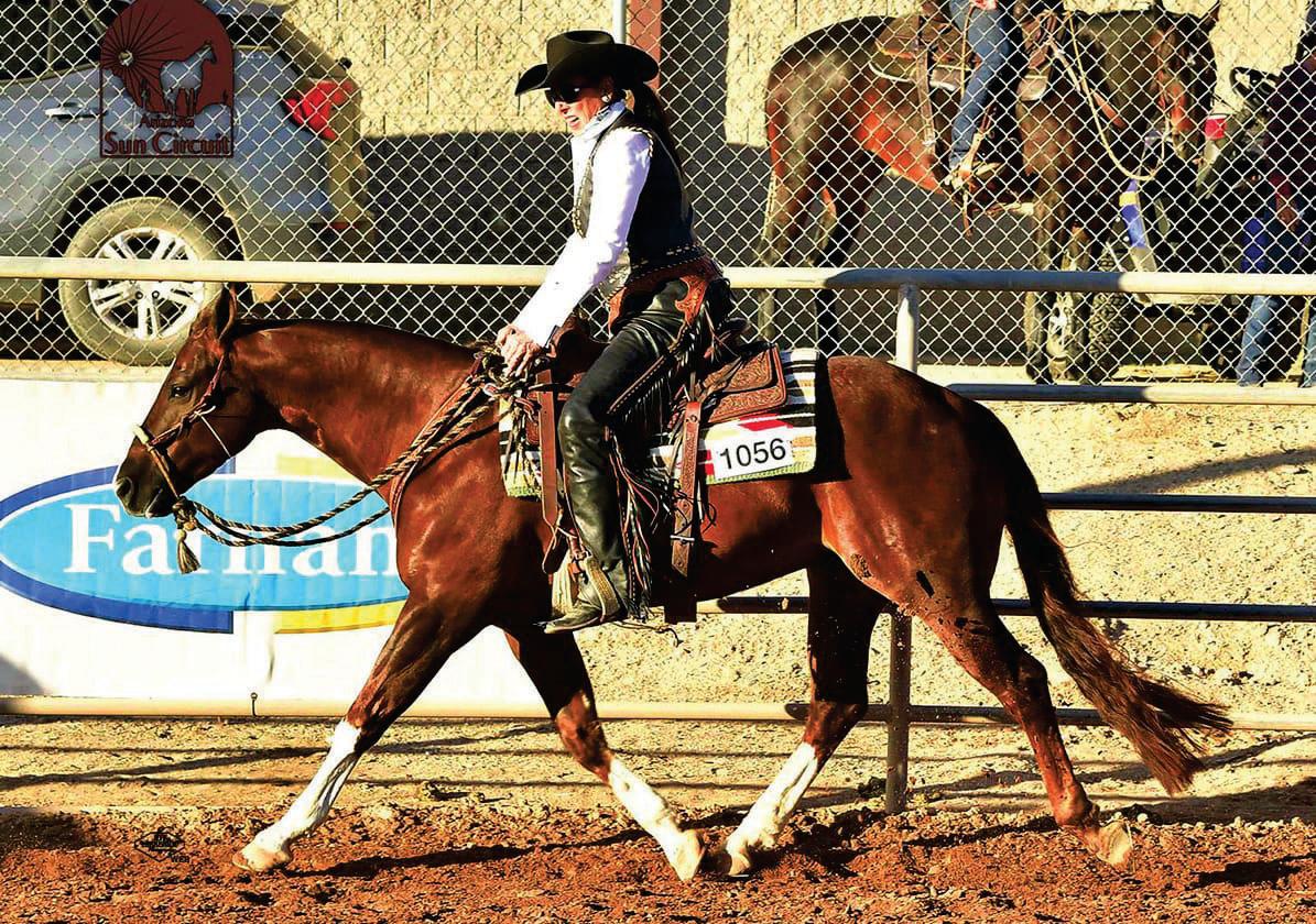 Speaking Horse