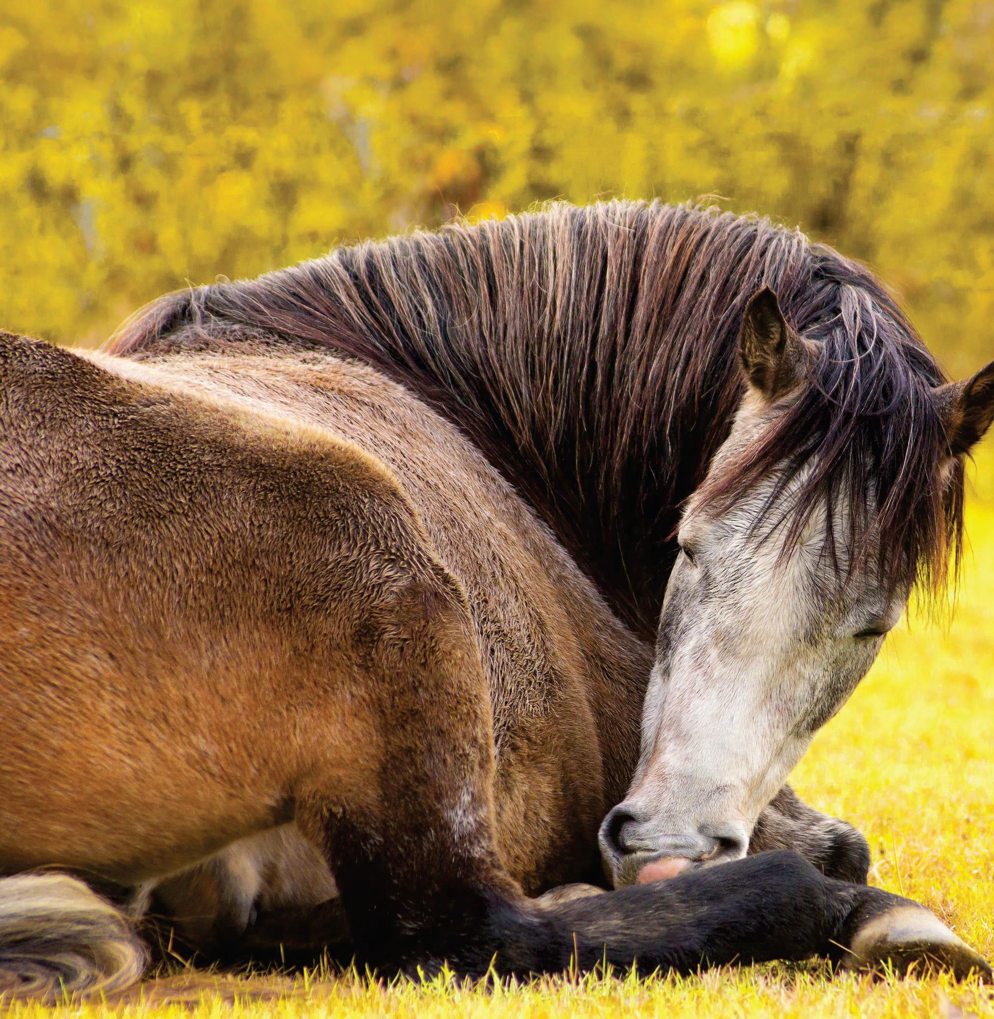 7 Steps to Better Sleep