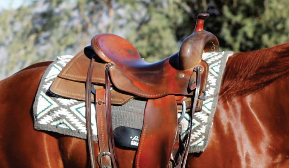 Saddling for the Long Haul