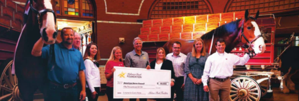 The Role of Horse Rescues