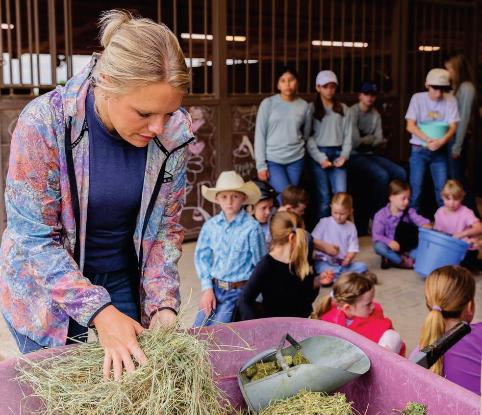 Winter Fun With Horses