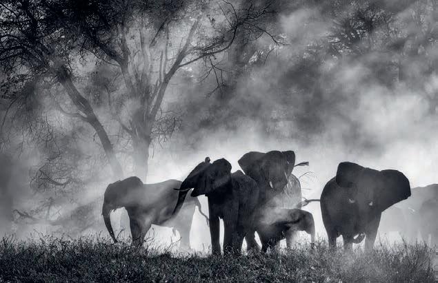 Abran paso a la realidad