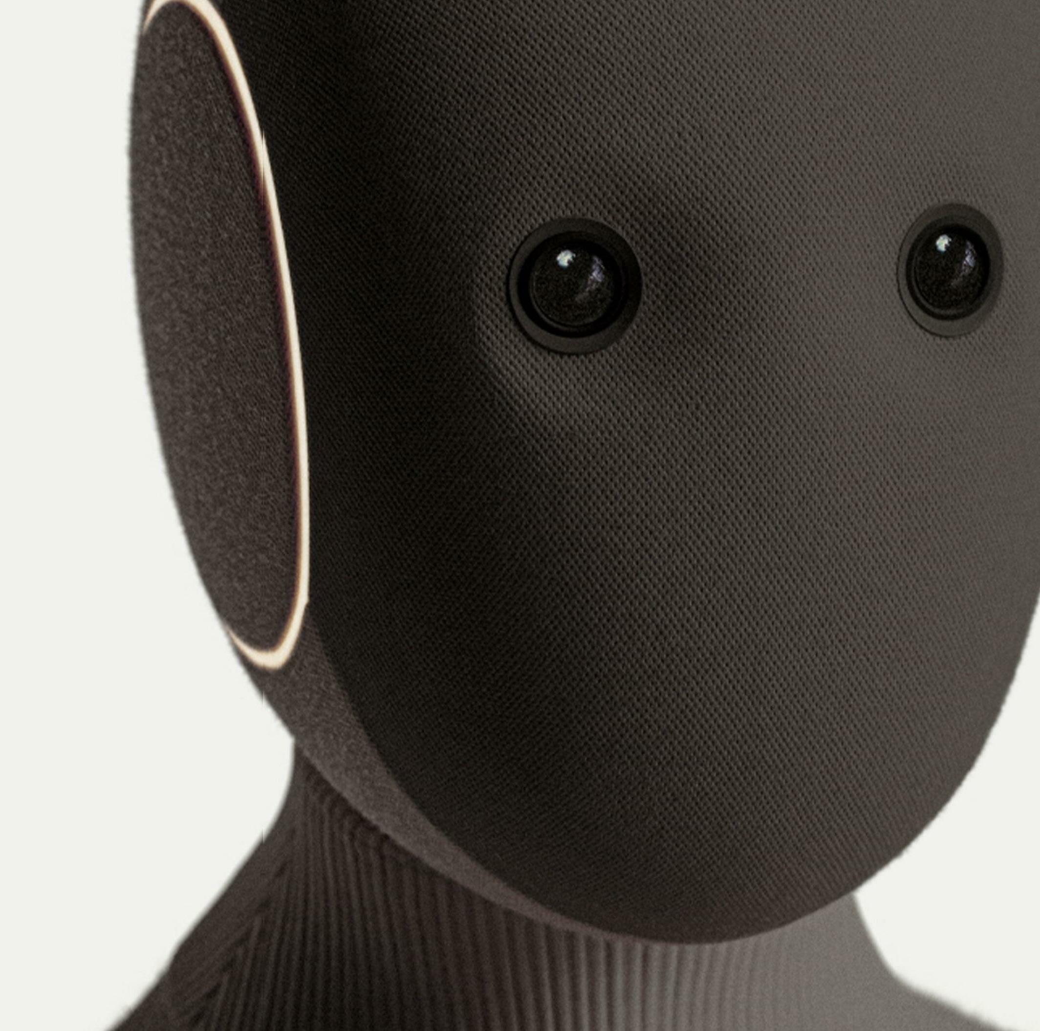 Robots