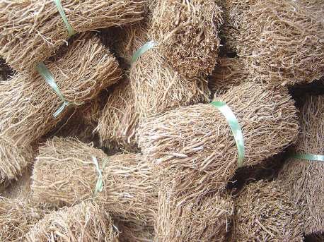 गर्मियों में ठंडक और सेहत का प्राकृतिक उपहार : खस