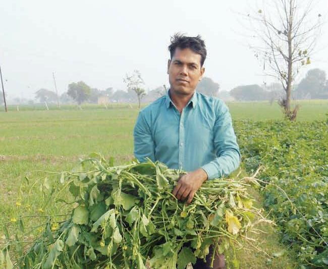 जनवरी में खेती के काम
