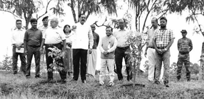 बाढ़ और रोगों की चुनौती में खरी उतरी धान की नई किस्में