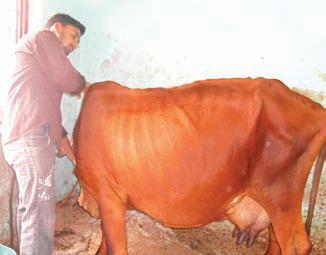 नवंबर महीने में खेती के खास काम