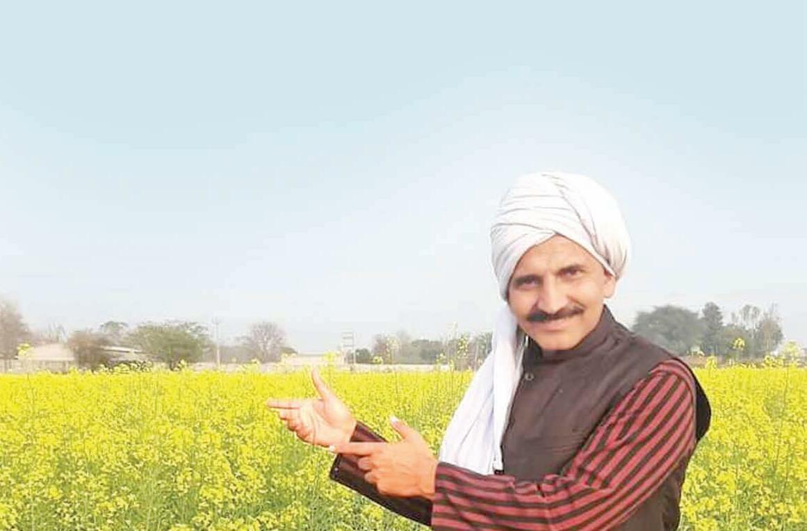 रबी मौसम में सरसों की उन्नत खेती