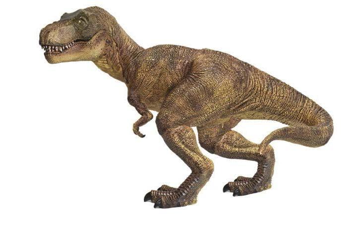 \"Coo\" of T. Rex