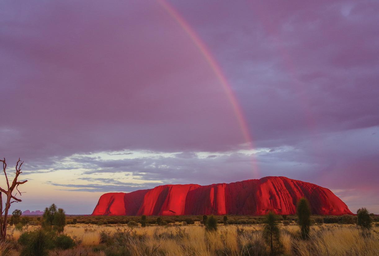 THE LURE OF ULURU