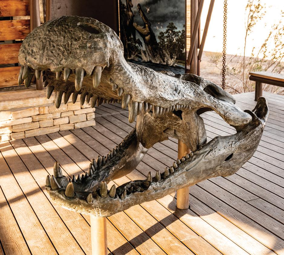 Deinosuchus