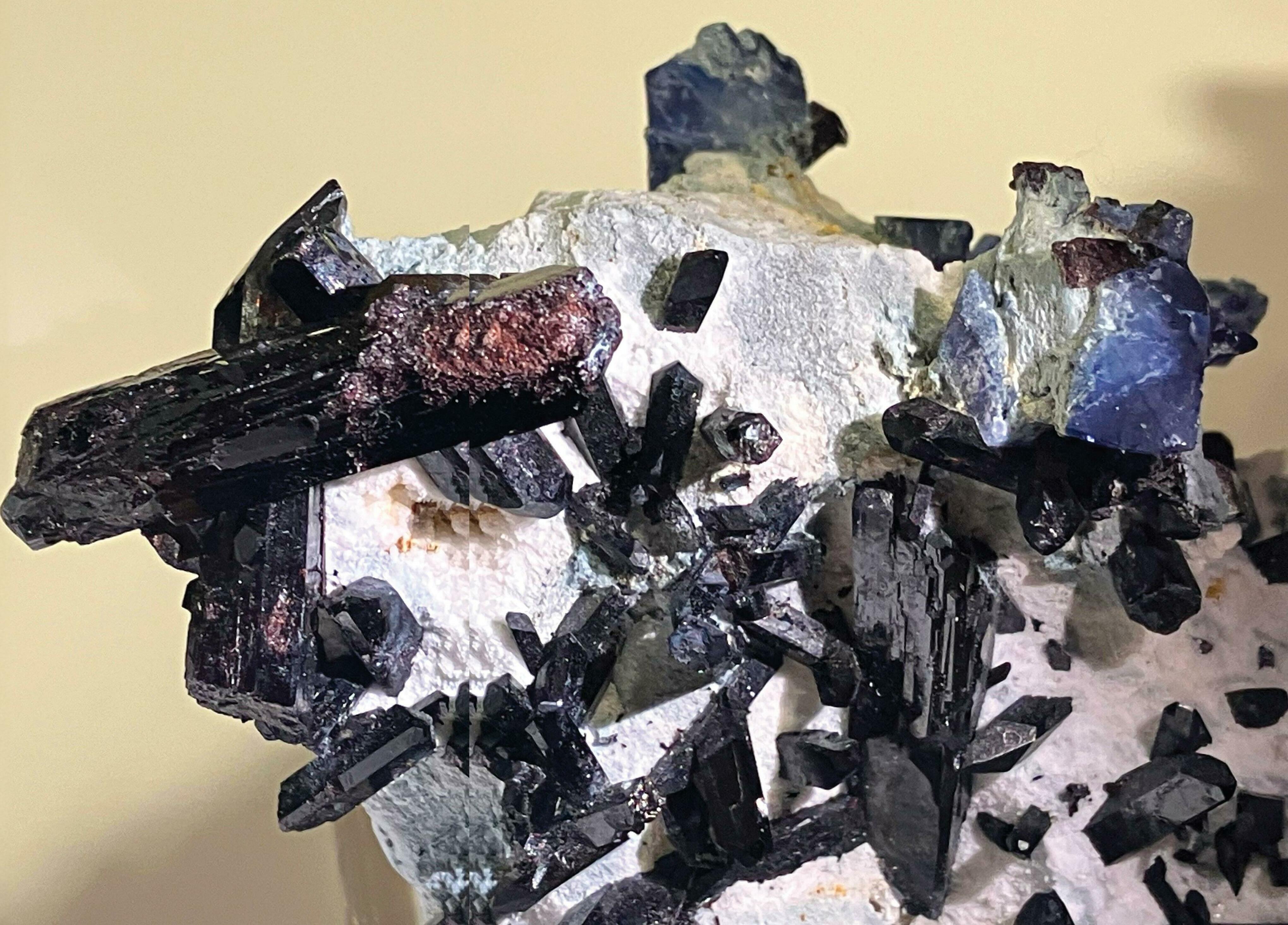 California's PATRIOTIC COMBO