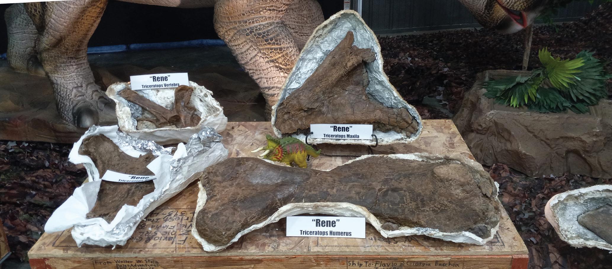 DINOSAURS OF THE HELL CREEK MUSEUM
