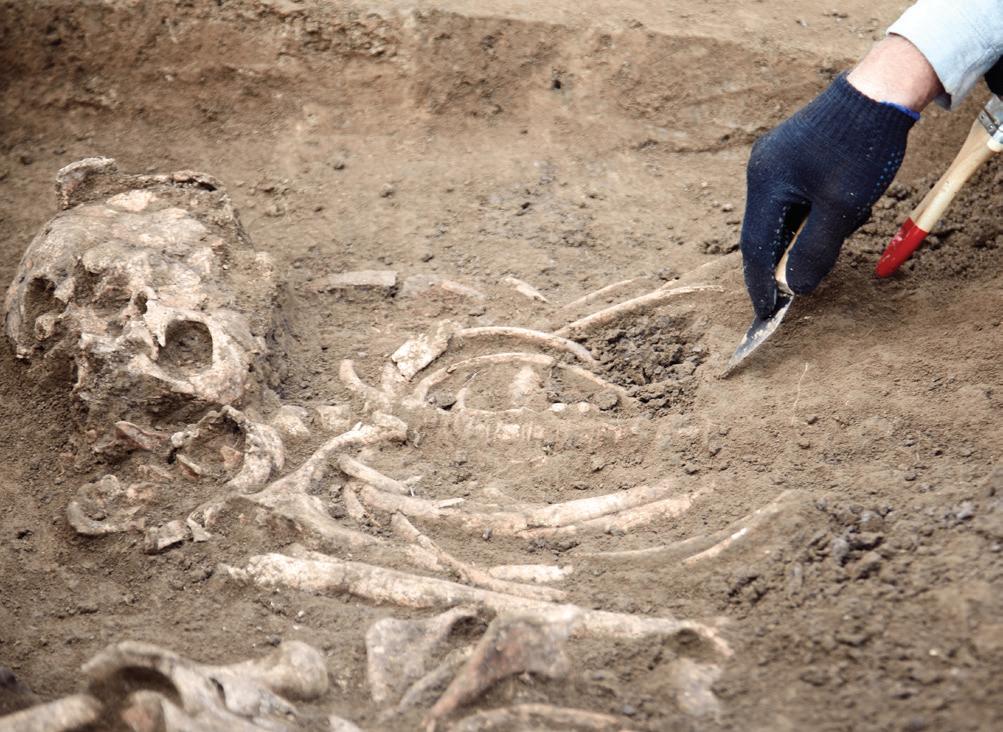 A Fossil Bridge to Modern Humans