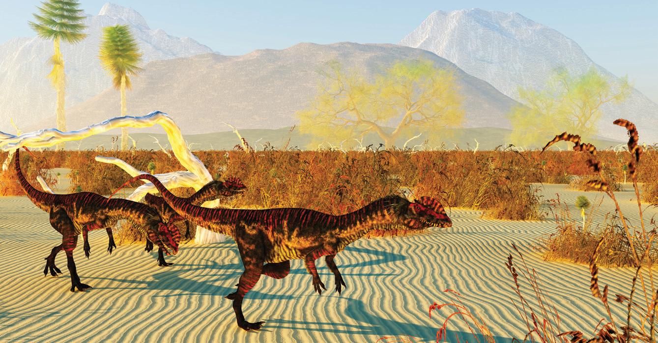 A New Rhabdodontomorph Is Among Us