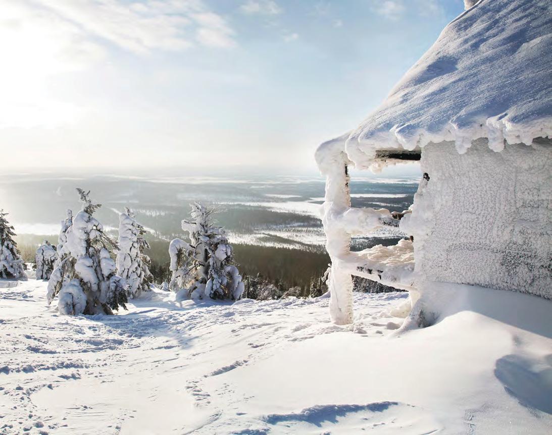 Embracing Winter In Scotland