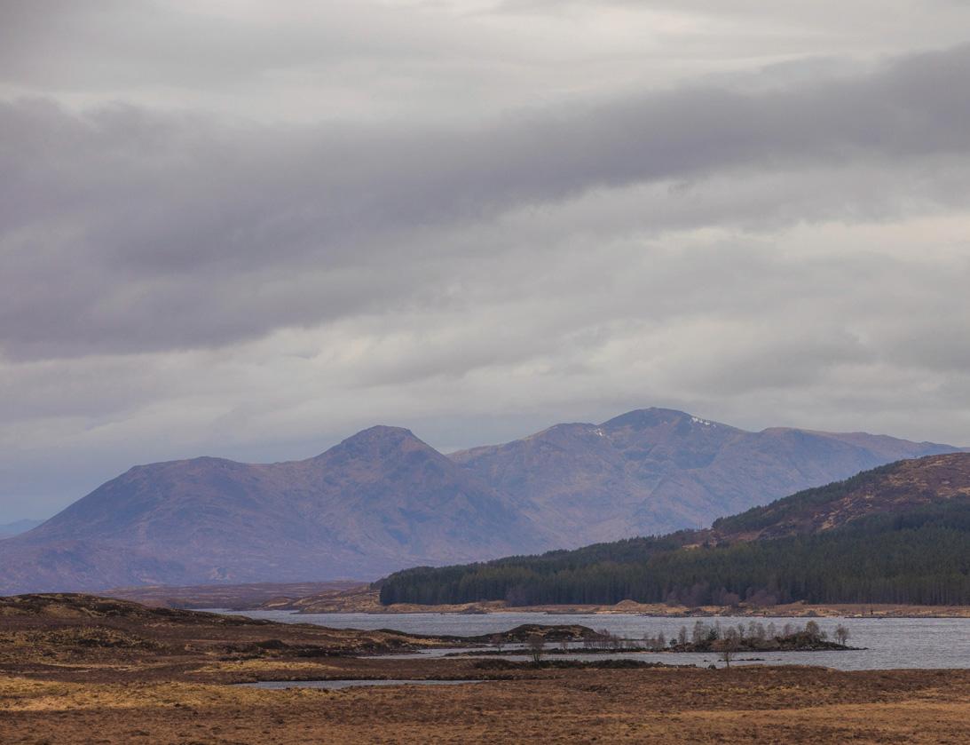 Savouring The Silence