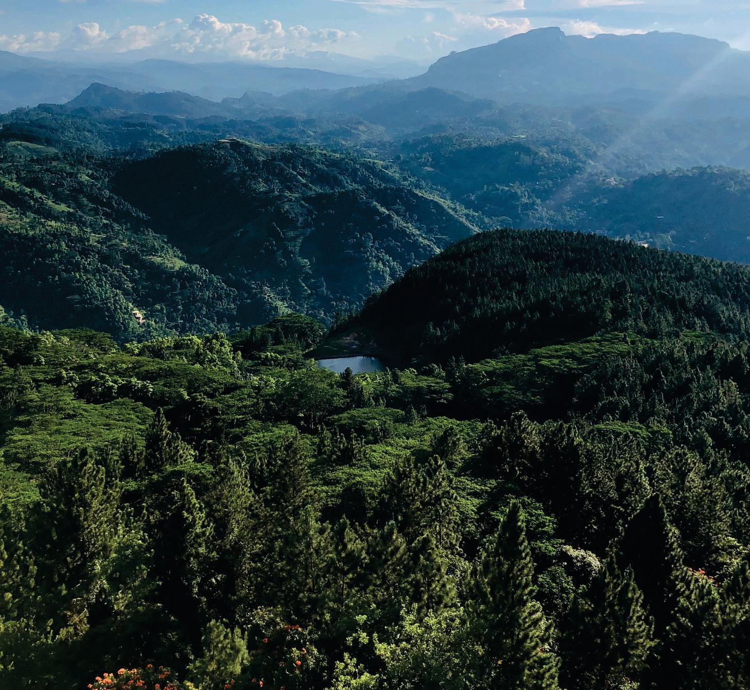 The Road To Ceylon