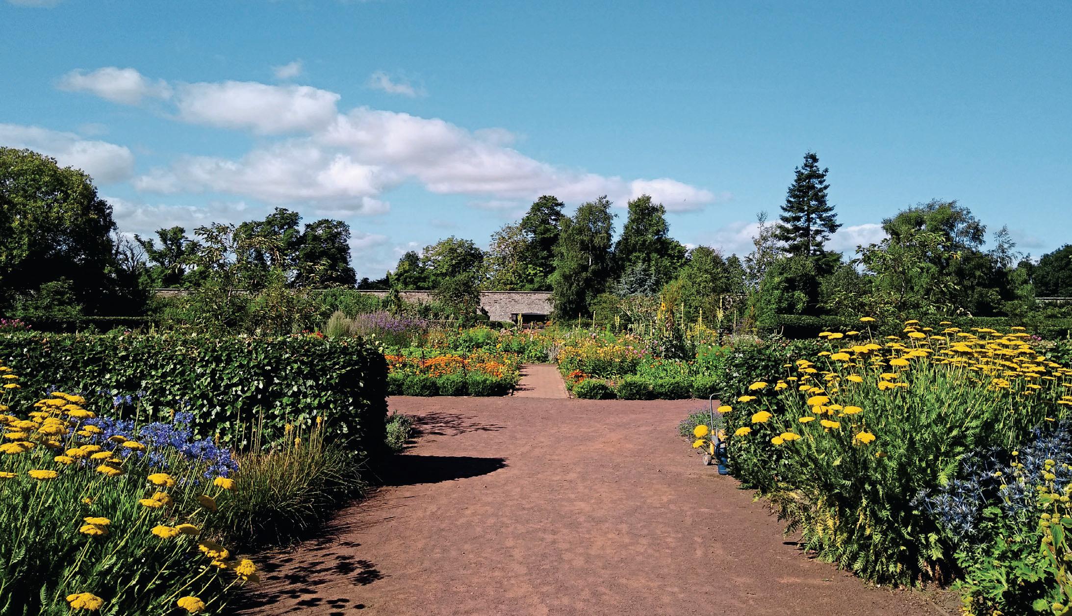 Amisfield In Bloom