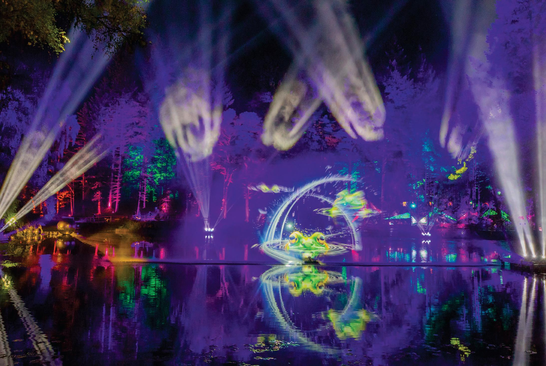 The Forest Comes Alive