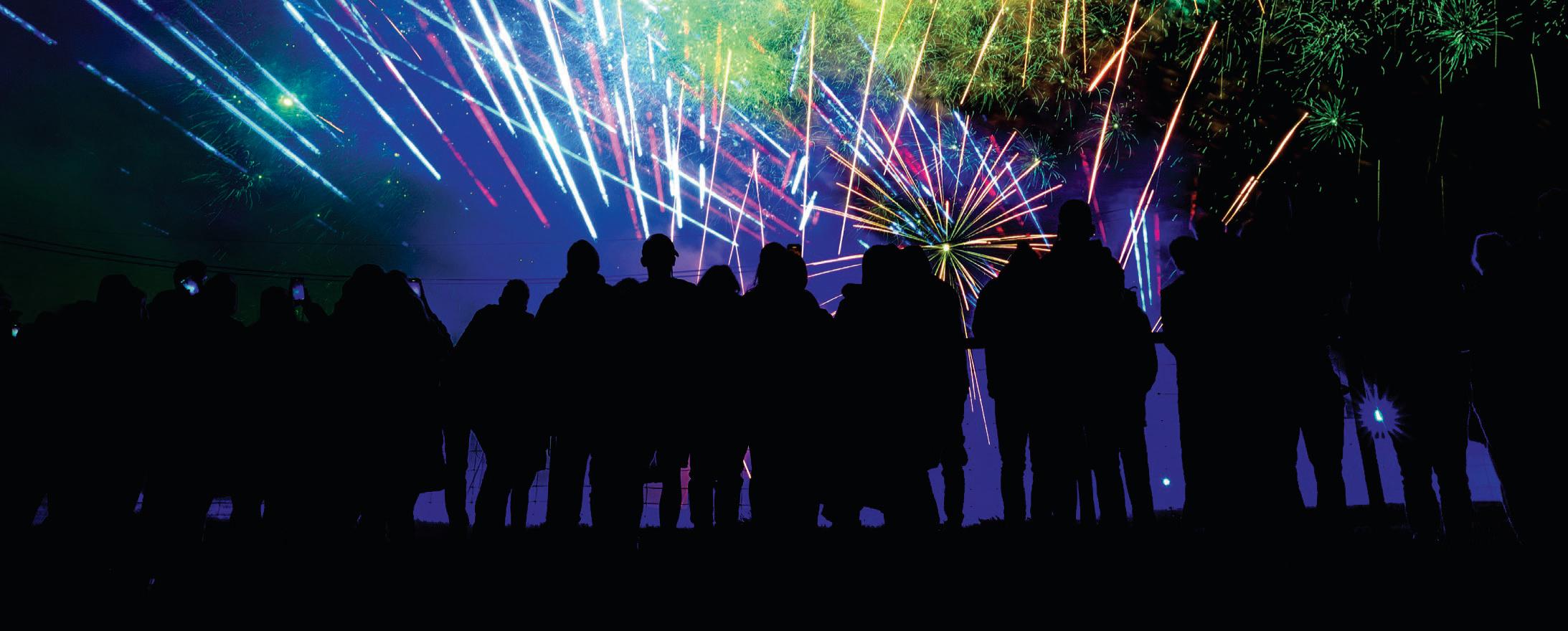 Fawkes Festivities