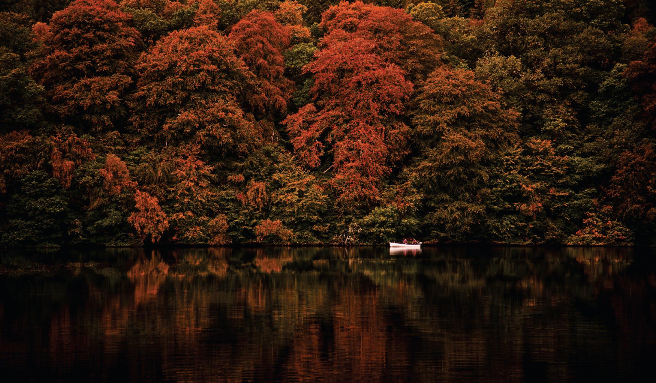 Pitlochry Pleasures