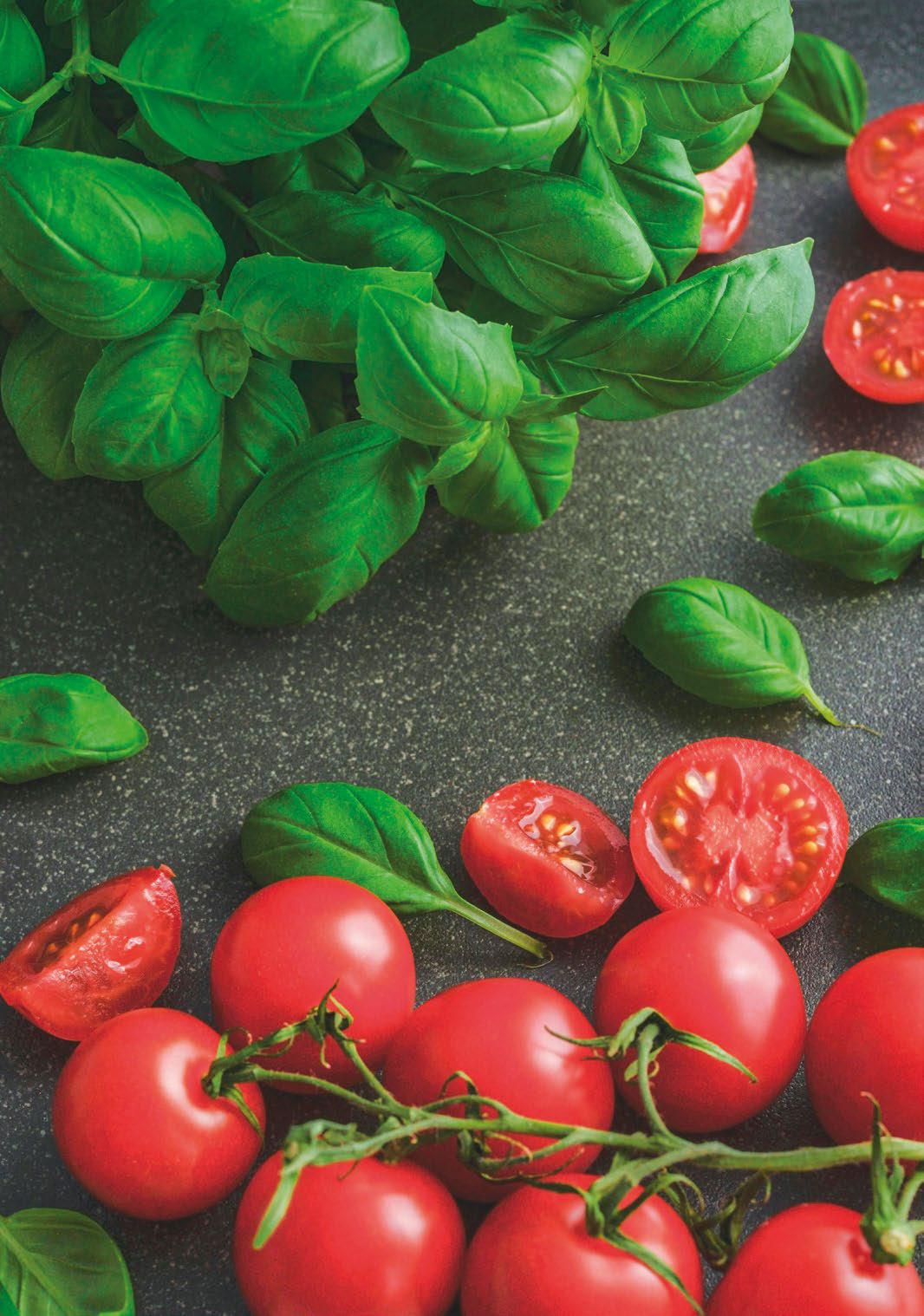 Growing a Herb Garden (EVEN IN A TINY SPACE)