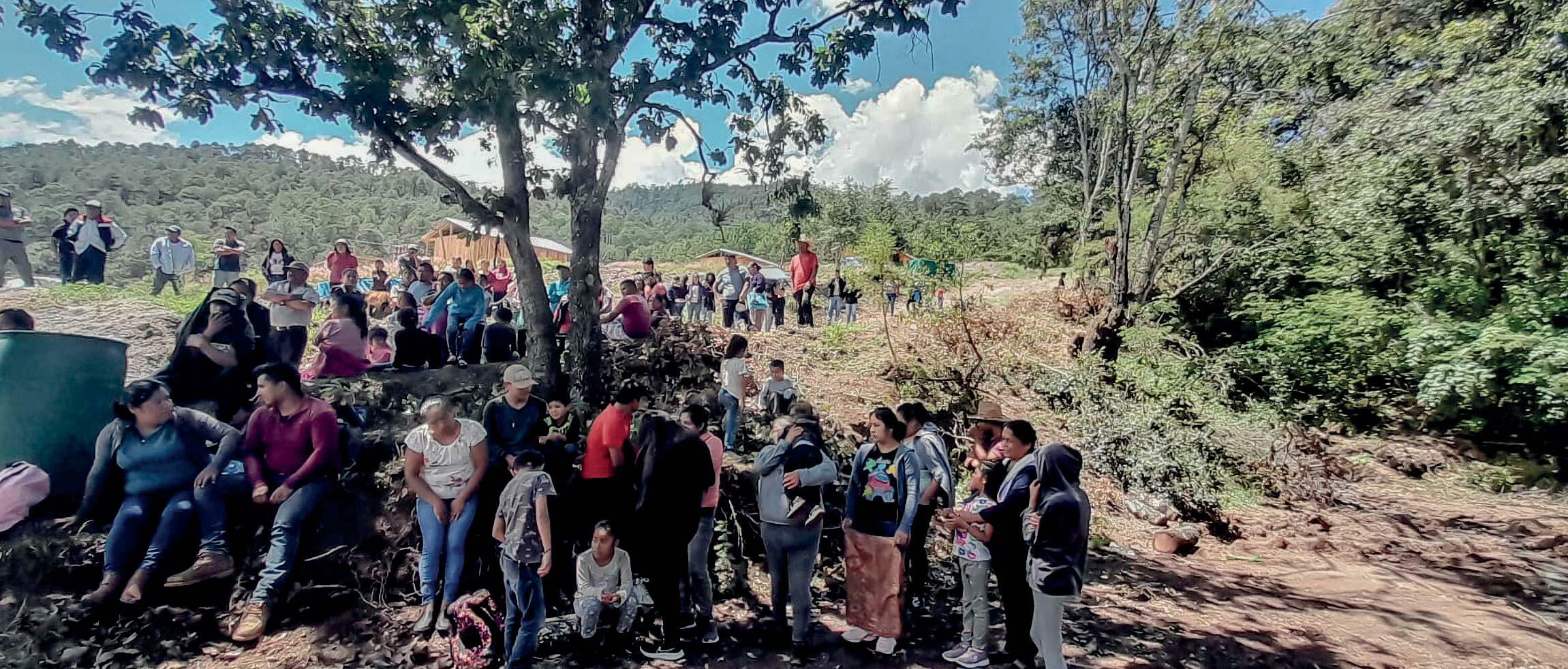 Oaxaca: Desterrados por su riqueza forestal