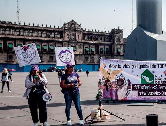 REFUGIOS QUE SALVAN VIDAS CON PRESUPUESTOS QUE LAS CONDENAN