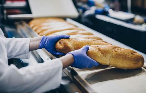 Catalysts of Change: The Expanding Role of Food Enzymes in Global Food and Beverage Processing