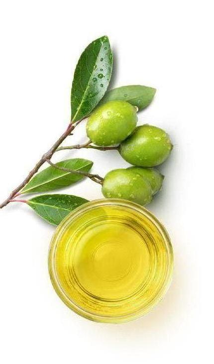 Olive Oil: A Premium Ingredient Powering Clean-Label and Functional Foods