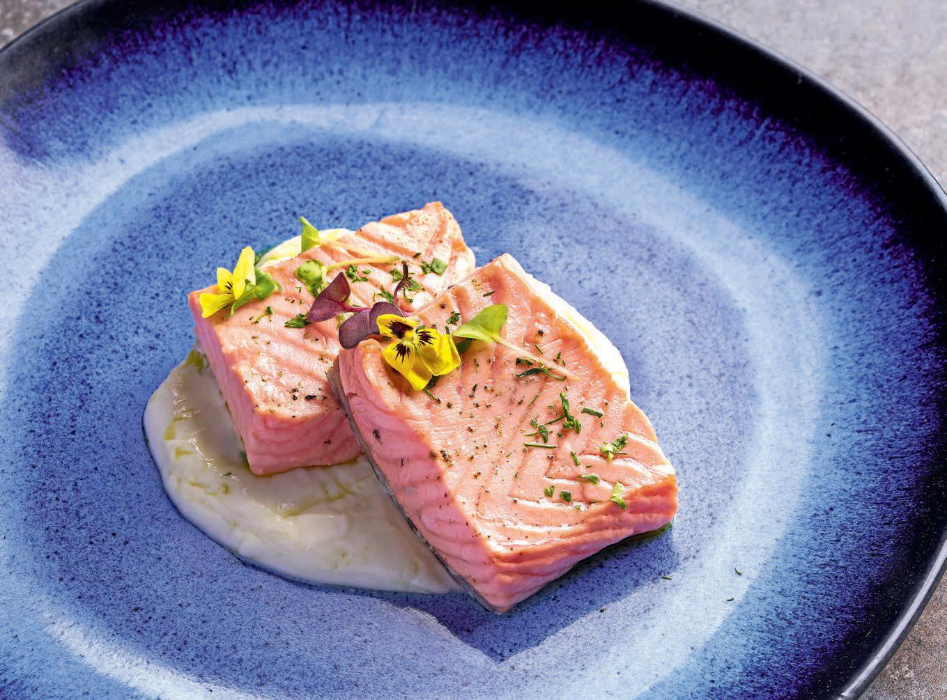 Salmón Recetas gourmet con salud y sabor