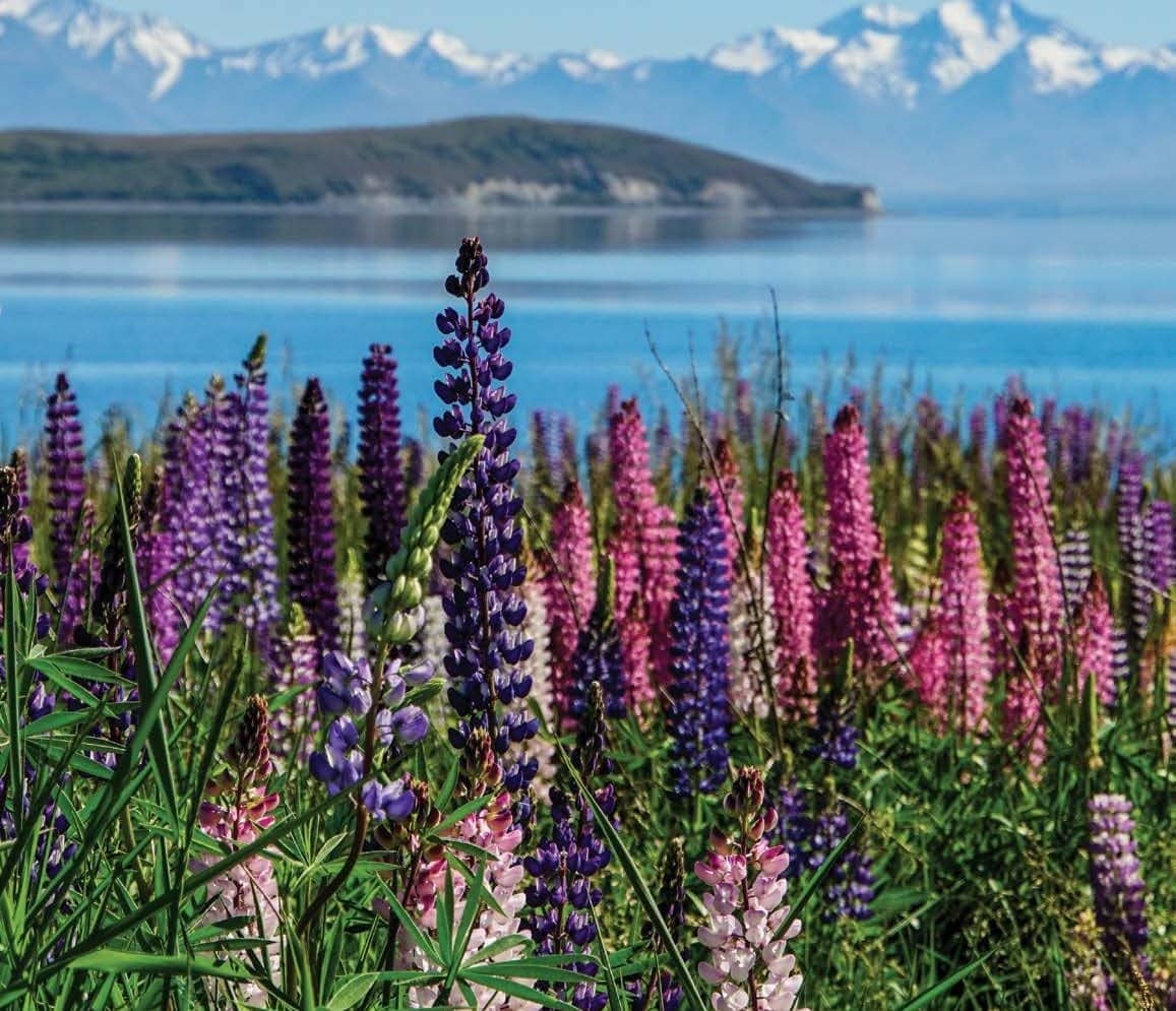 Spring's Hidden Gems