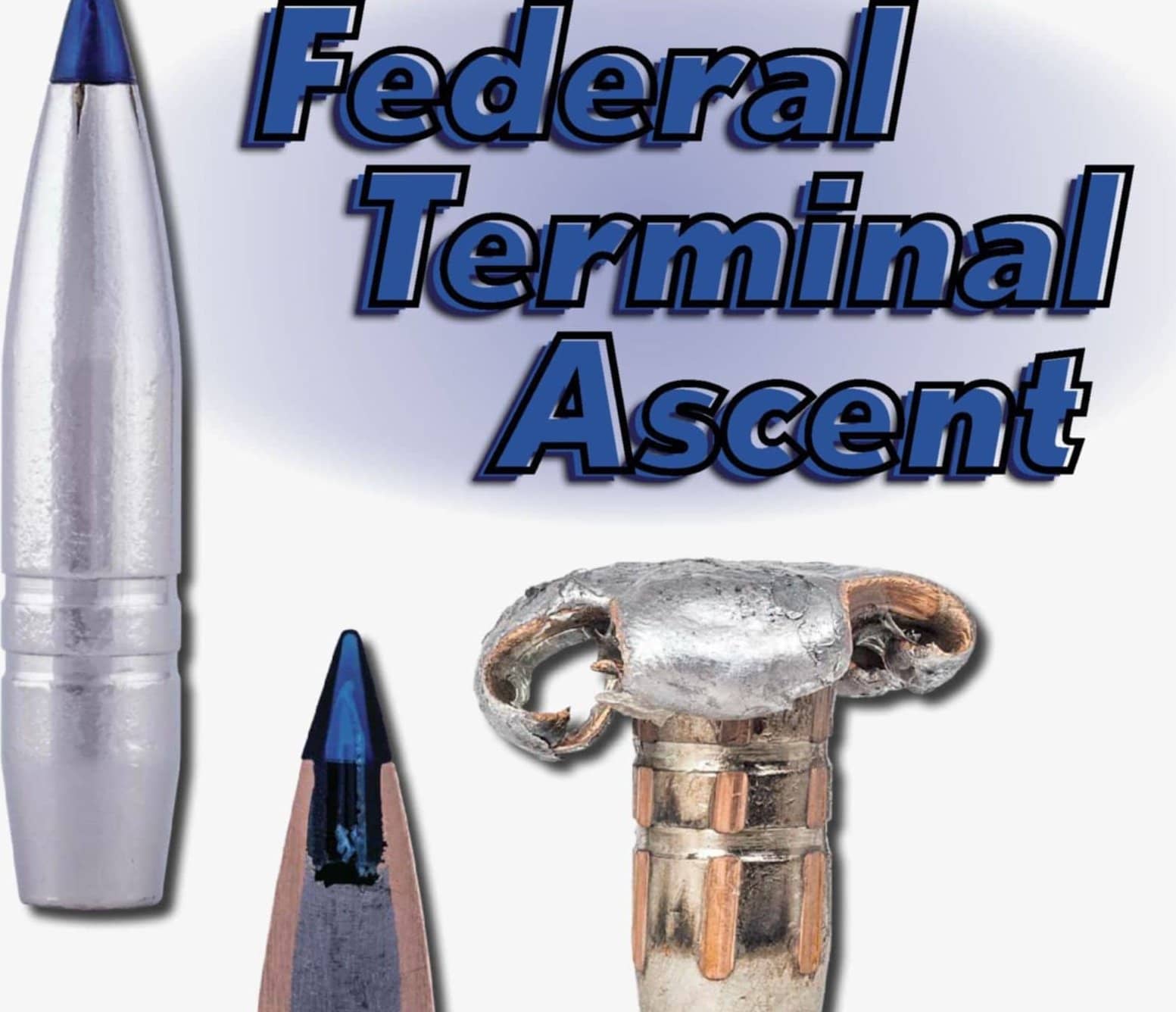 Federal Terminal Ascent